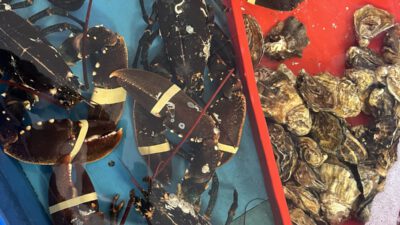 Dagje vis eten – of waarom zou je kiezen