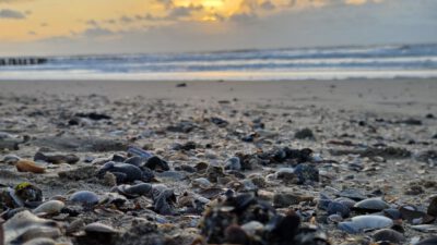 Zomervakantie deel 8 naar Cadzand